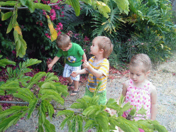 Childcare exploring playground